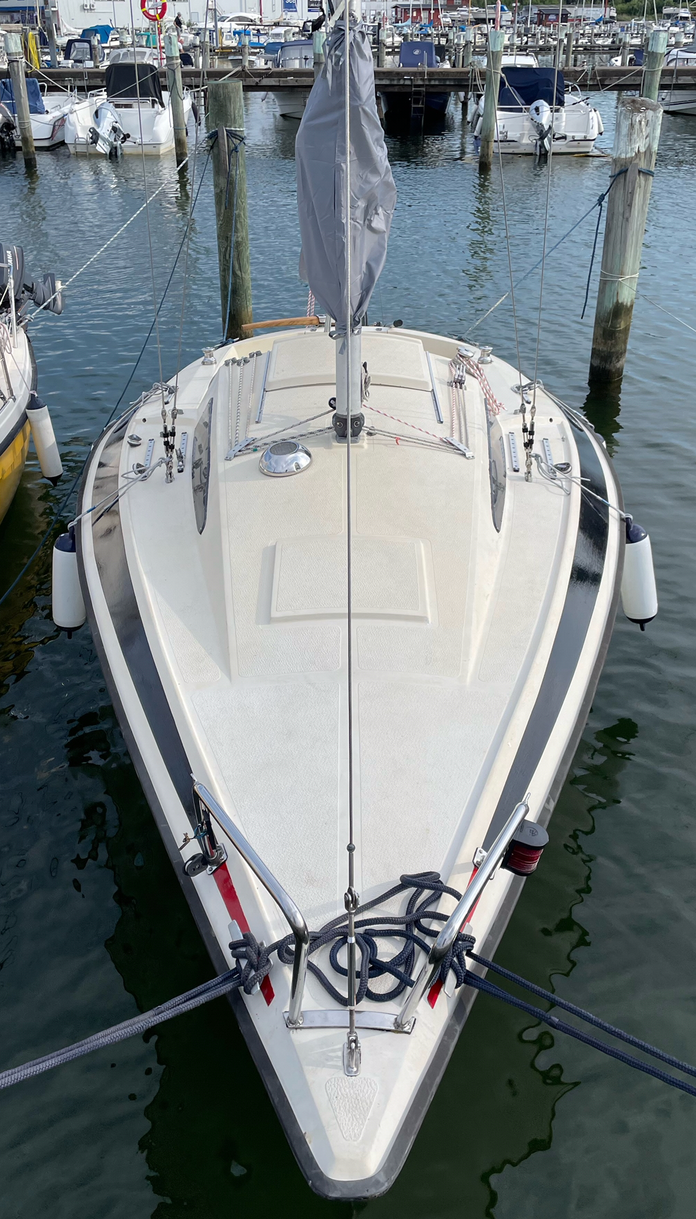 Mani 66 med sina vackra linjer